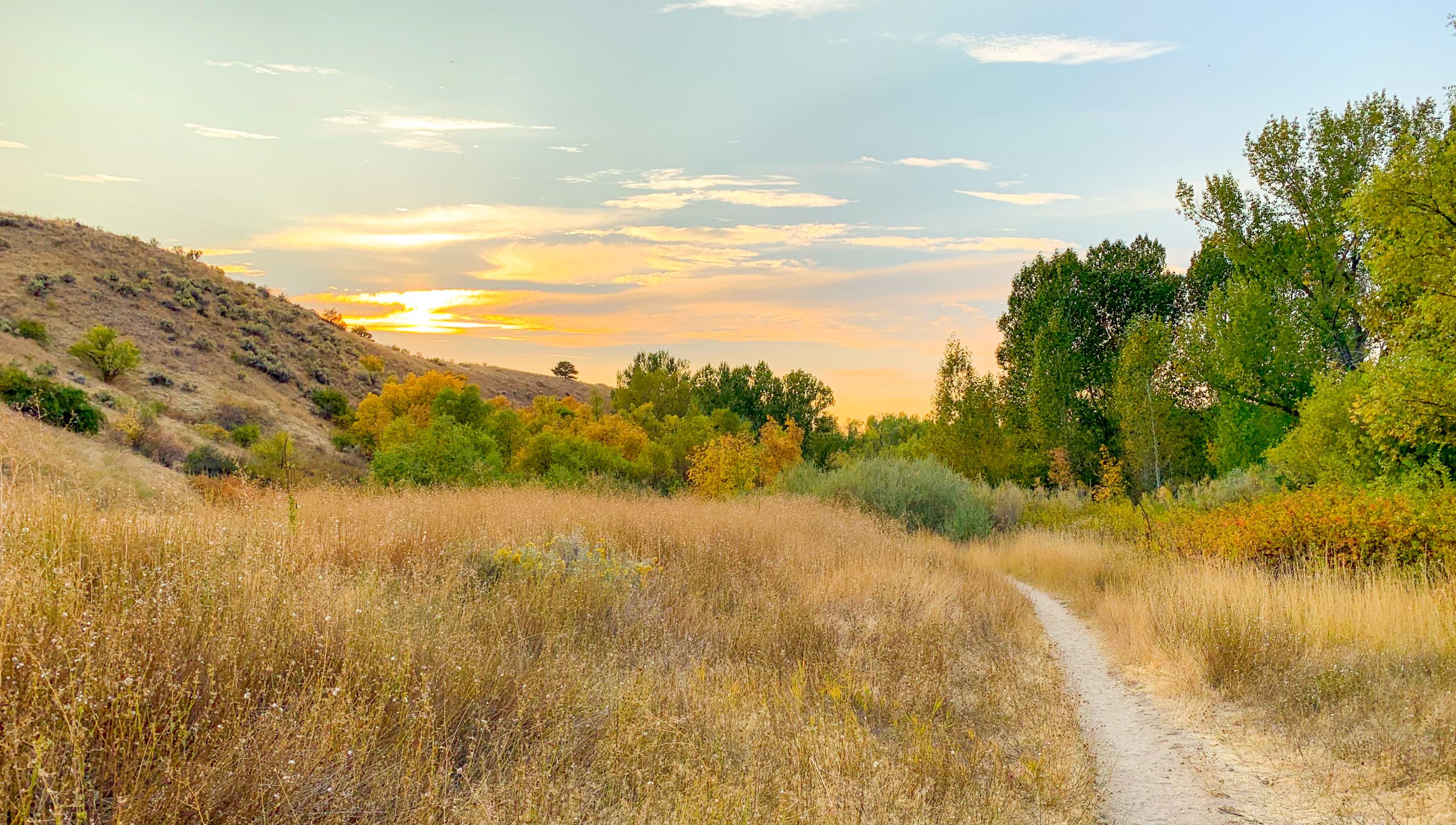Biking trail in the Boise foothills