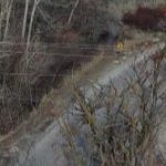 An overhead picture of a dirt road through a forested area, with powerlines crossing the scene horizontally.