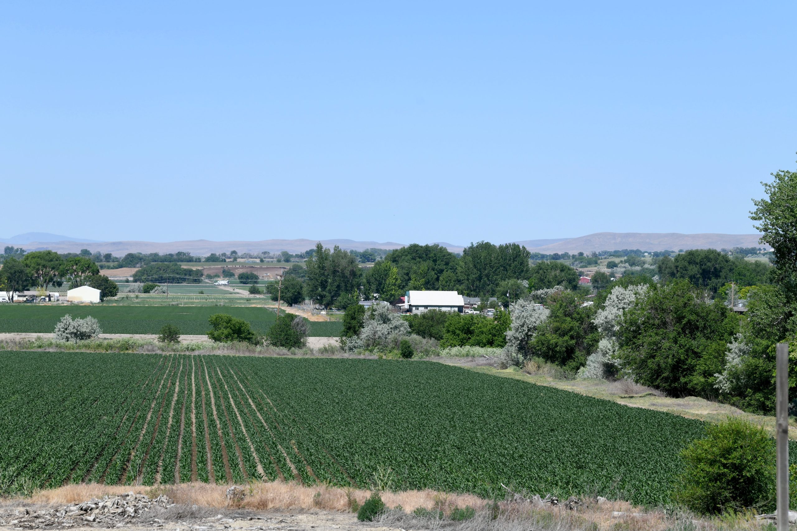Agriculture/farmland scenic shot