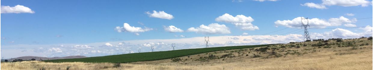 Simulation of power lines across land
