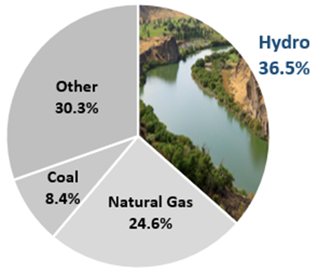 Hydro: 36.5%; other: 30.3%; coal: 8.4%; natural gas: 24.6%