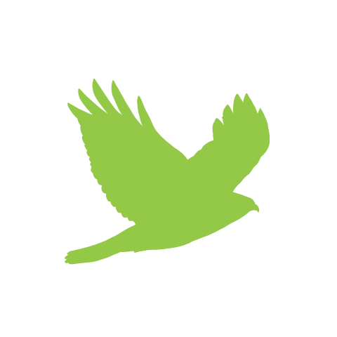 raptor icon